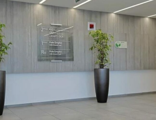 FSDV - Foncière, Coworking, Hors-Site - Immeuble de bureau à Lille