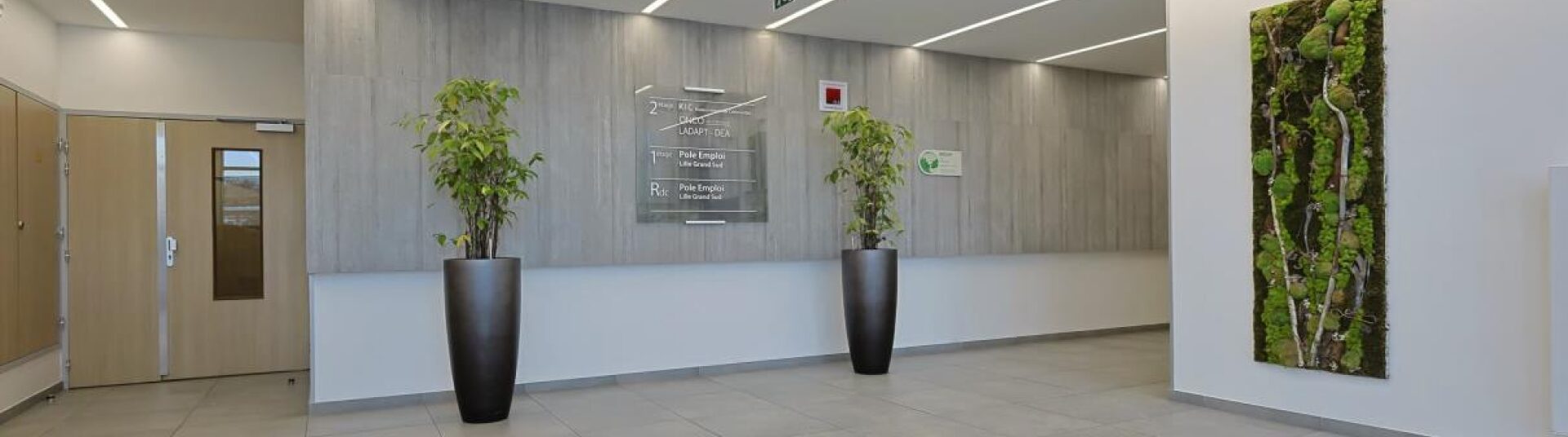 FSDV - Foncière, Coworking, Hors-Site - Immeuble de bureau à Lille