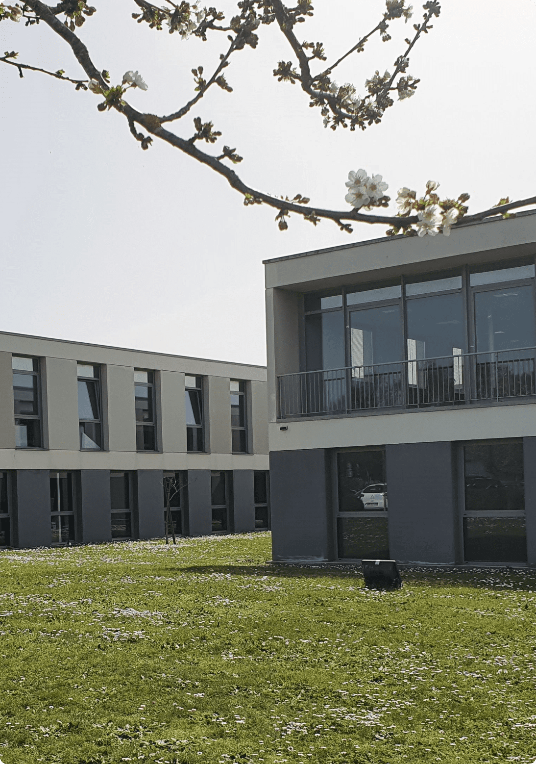 financement groupe bmg, fiducie-sureté verte